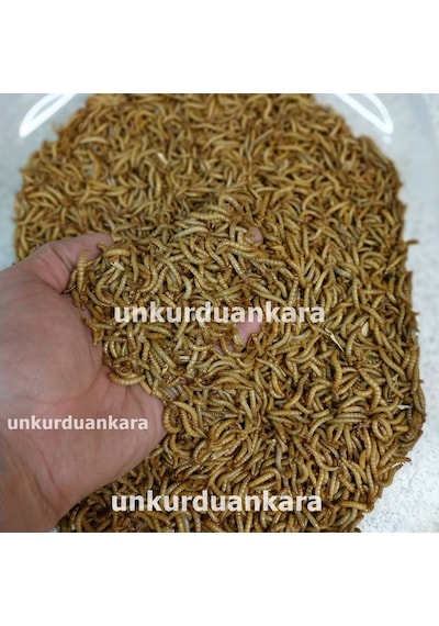 Un Kurdu 150 Gram