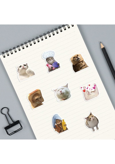 Çılgın Cats Sticker Seti Laptop Ajanda Notebook Tablet Telefon Defter Etiket Bullet Journal Diğer