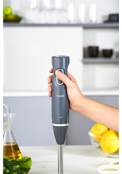Homend Handmaid 1935h Çubuk Blender