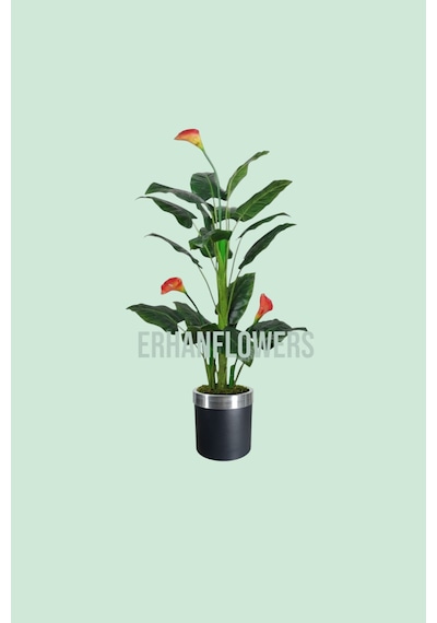 Yapay Ağaç Gala Ağacı Salon Bitkisi 160cm 20 Yaprak Siyah Gümüş Saksıda Yeşil