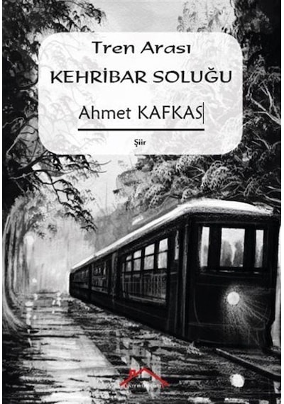 Tren Arası Kehribar Soluğu / Ahmet Kafkas