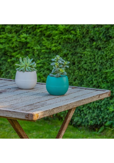Serinova Elvan Kaktüs Saksısı 1.3 Lt 73756363