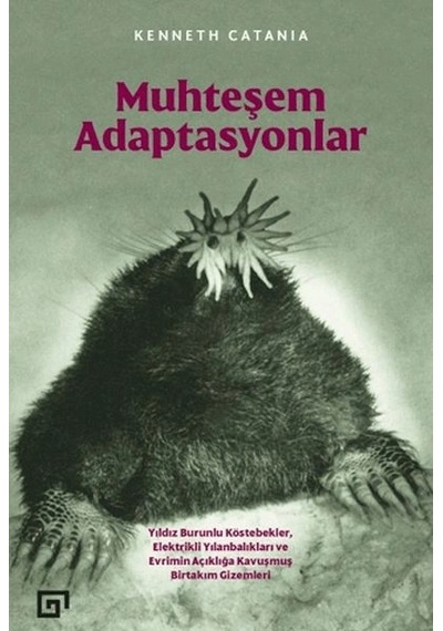 Muhteşem Adaptasyonlar
