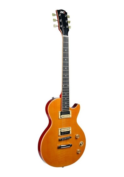 Dmx Guitars Dalp100 A Slash Afd Les Paul Elektro Gitar Taşıma Çantası Hediyeli