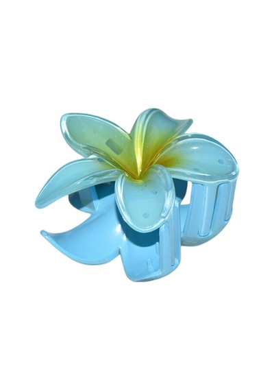 Lotus Mandal Toka Turkuaz