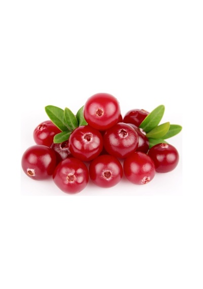 Cranberry Tohumu Turna Yemişi Tohumu Ekim Seti 5 Adet Tohum + Toprak + Saksı