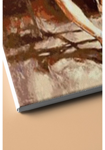 Webstyle Sayılarla Boyama Seti Kasnaklı Yıldız Balerin 40 X 50 Cm