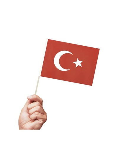 Türk Bayrağı Al Yıldızlı Çıtalı Sopalı Baskılı Bayrak 10 Adet Diğer