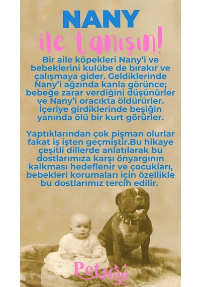 Petjoo 17.Nany Pembe-Mavi Qr'lı Köpek Künyesi