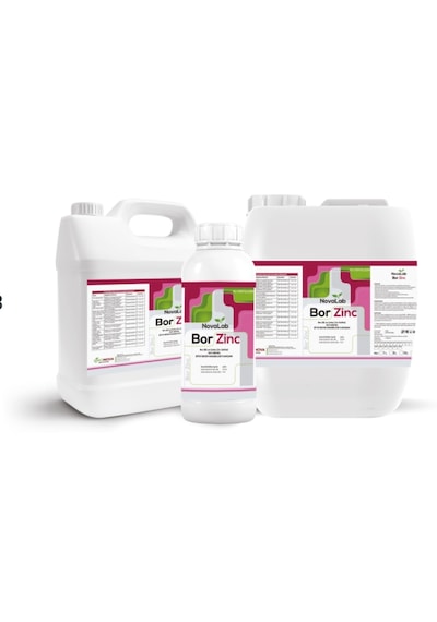 Bor Zinc Sıvı Bor Ve Çinko Karışımı 20 Lt 20 LT