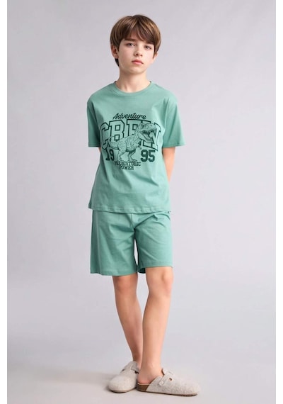 Defacto Baskılı Tişört Şort Pijama Takımı Erkek Çocuk G8829a826hsgn1095 Yeşil-gn1095