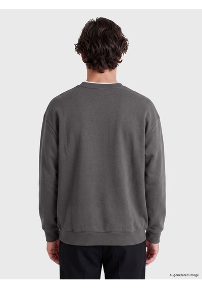 Lcw Vision Gri Bisiklet Yaka Erkek Kalın Sweatshirt