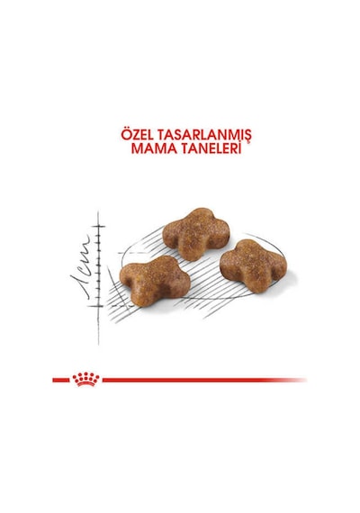 Royal Canin Kitten Yavru Kedi Maması 400 Gr