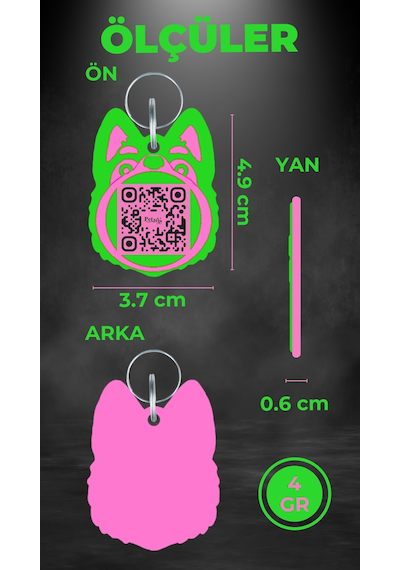 Petjoo 24.Proteo Pembe-Yeşil Qr'lı Köpek Künyesi