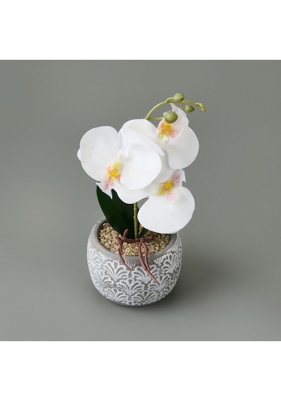 Etnik Desenli Beton Saksı Real Touch Orkide - Asorti - 28x12x12 Cm