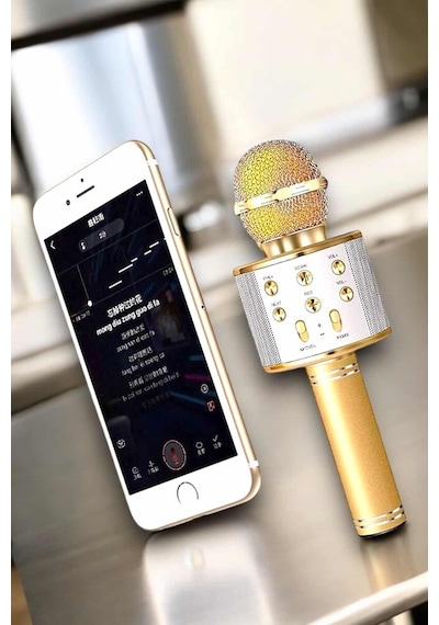 Şarjlı Ve Uzun Pil Ömürlü Karaoke Mikrofon Usb Bellek Destekli Profesyonel Ses Mh-hs1729-6864