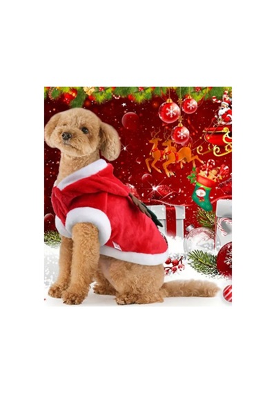 Noel Baba Geyiği Köpek Kostümü Küçük Irk Evcil Hayvanlar İçin Polyester Kapüşonlu Çıtçıtlı Fleece