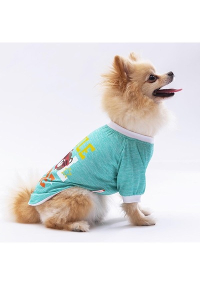 Pawstar Mint Dude Kedi Köpek Sweati Kıyafeti