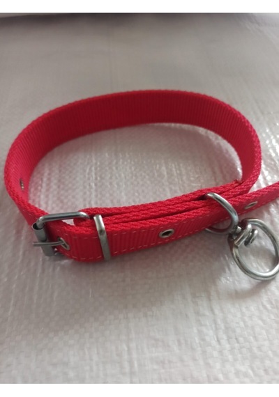 Büyük ve Orta Irk Köpek Tasması