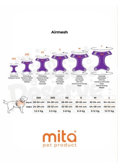 Mıta Aır Mesh 2'lı Bundle Set Kedı Köpek Göğüs Tasması + Köpek Gezdırme Tasması/kayışı Mor 3xs Mor