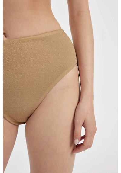 DeFacto Regular Fit Parlak Kumaş Yüksek Bel Bikini Altı-Fall in Love C3180AX24SMYL275