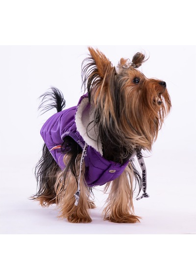 Pawstar Mor Railway Anorak Yelek Köpek Yeleği