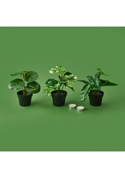 Botta Çiçek - Asorti - 24 Cm Çok Renkli