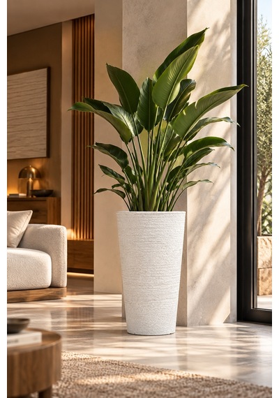 Bostann Dekoratif Saksı - Lıva 080 - 50l - Beyaz