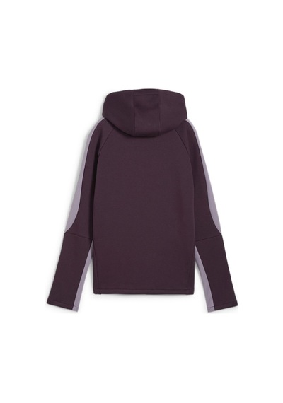 Puma Kadın Hoodıe Evostrıpe Hoodie 68166944 001