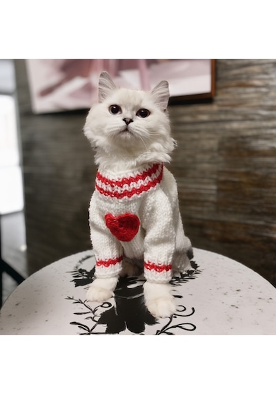 Kedi Ve Köpek İçin Sevgililer Gününe Özel Beyaz Kazak