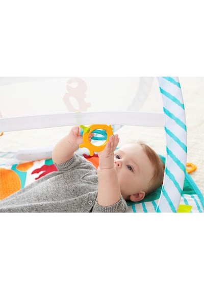 Fisher Price FXC15 Renkli Dostlar Taşınabilir Jimnastik Merkezi