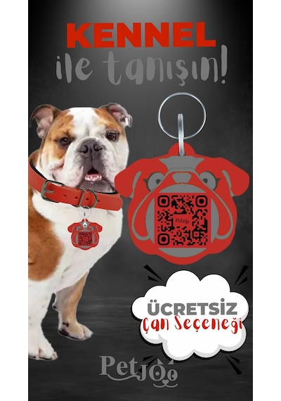 Petjoo 16.Kennel Gri-Kırmızı Qr'lı Köpek Künyesi