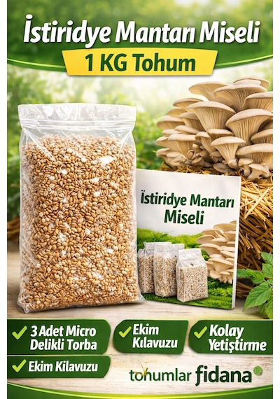 İstiridye Mantarı Miseli Tohumu Vakumlu 1 Kg Tohum 3 Adet Micro Delikli Torba Ekim Kılavuzu