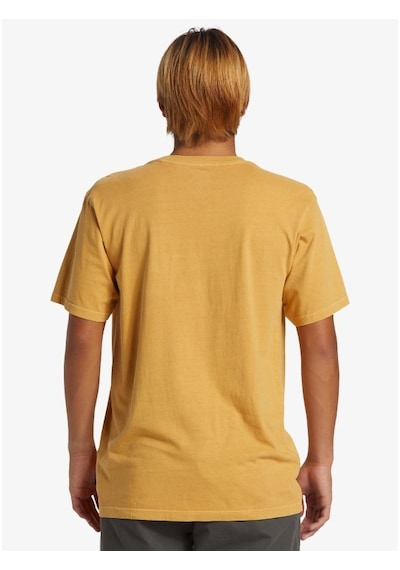 Quiksilver Salt Water Pkt Tee Swp Erkek T-shirt aqyzt09558-17921 001