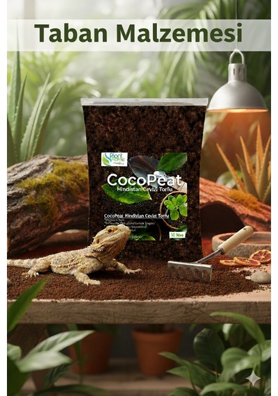 Cocopeat Hindistan Cevizi Torfu Sülük, Salyangoz, Sürüngen, Amfibi -kemirgen Yatak Malzemesi