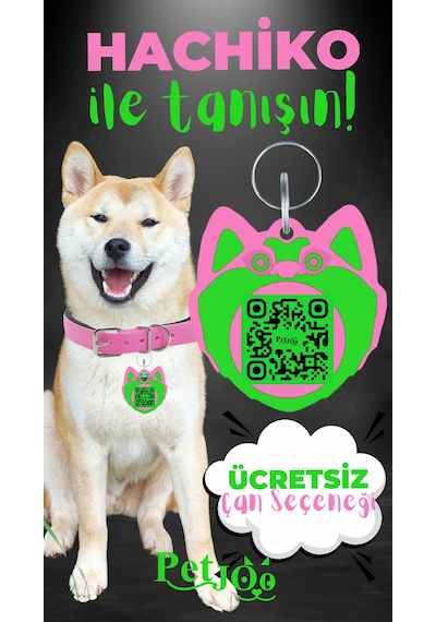 Petjoo 19.Hachiko Yeşil-Pembe Qr'lı Köpek Künyesi