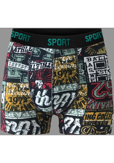 Vien&Karl Erkek Desenli 6'Lı Premium Penye Kutu Pamuklu Likralı Boxer Çok Renkli