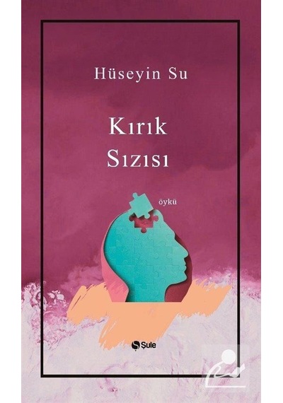 Kırık Sızısı - Hüseyin Su - Şule Yayınları