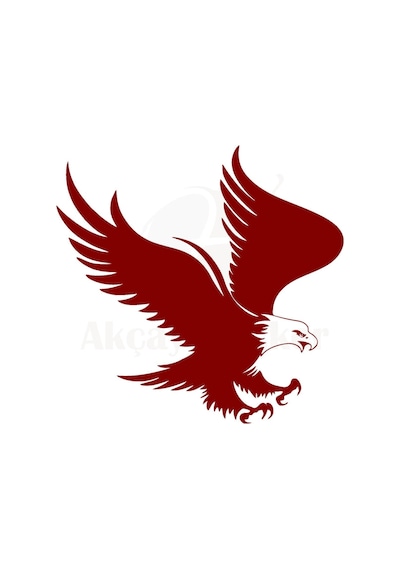 Kartal Tasarım Oto Sticker Kırmızı 20 20 Cm