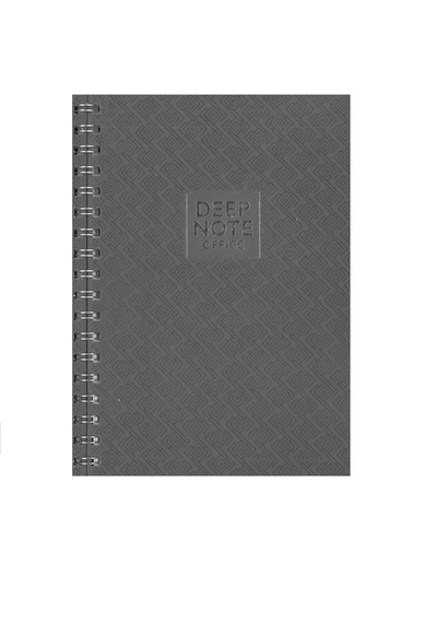 Özkan Deep Note 17x24 Spiralli Çizgili Defter 100 Yap. Platin Gri