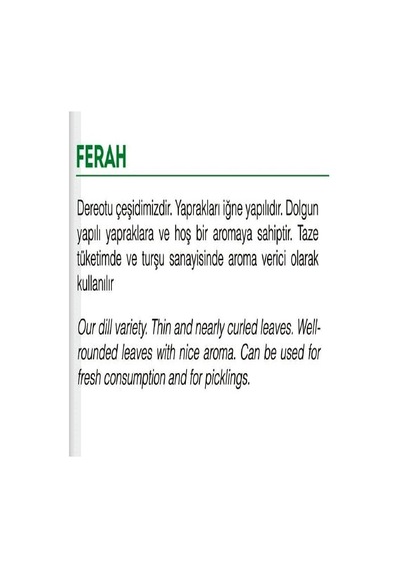 Ayrex Agrodal Tarım Ata Tohumu Yerli Dereotu Ferah 1000 Adet Tohum