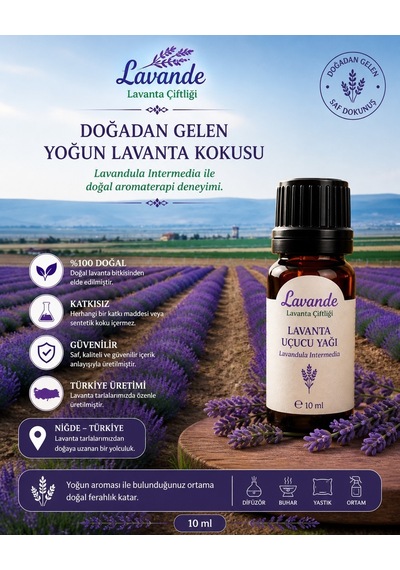 Lavande Lavanta Çiftliği  Lavanta Yağı L.intermedia 10 ML