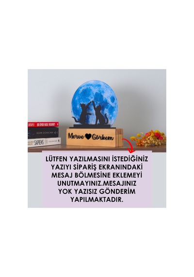 Led Işıklı Pleksi Dolunay Kişiselleştirilebilir Dekoratif Biblo Harvey Kediler Anahtar Askılığı Mavi - 737322722 Mavi