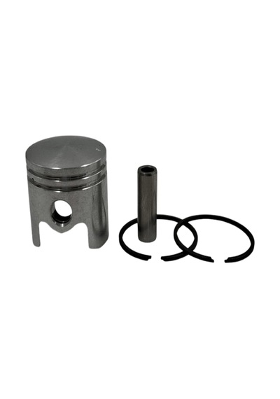 İlaçlama Piston Segman Kaseı 3wz6/tl23 31mm