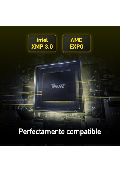 Thor Ld5u16g60c38lg-rgd 32gb 2x16gb Ddr5 6000mhz Cl38 Ram Bellek