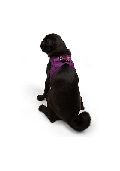 Air-Mesh Küçük ve Orta Irk Kedi Köpek Göğüs Tasması - Yumuşak, Nefes Alabilir, Dayanıklı MOR S