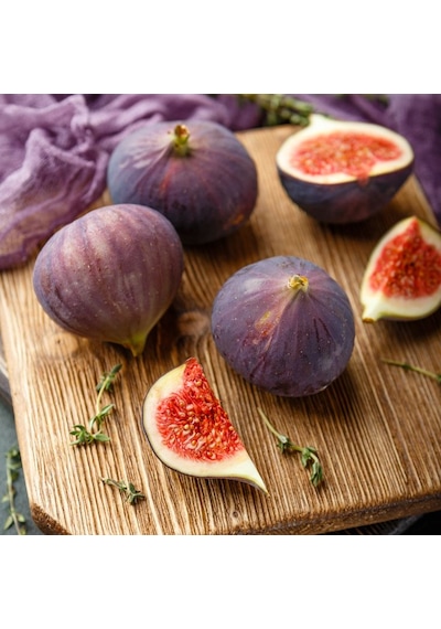 Sağlıklı Ve Lezzetli Mor İncir Fidanı Ficus Carica - 1-2 Yaşınd