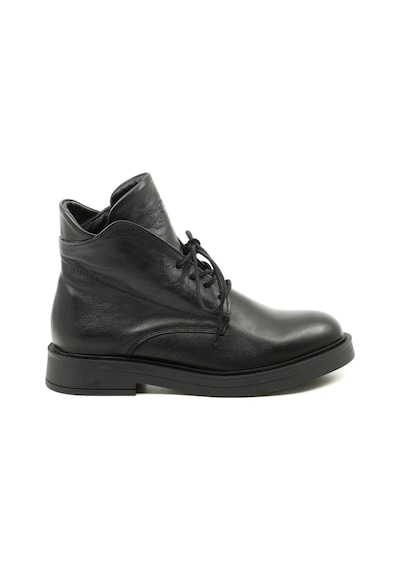 Dexter Tp7402-61 Renkli