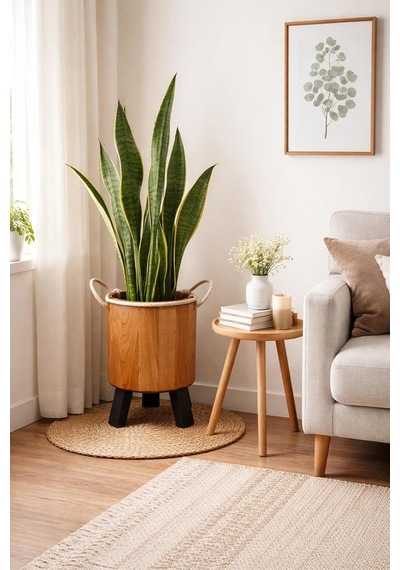 İnci Mobilya Ahşap Ahşap Saksı Yuvarlak Orta Boy Saksılık Natural 35x22x22 Standart