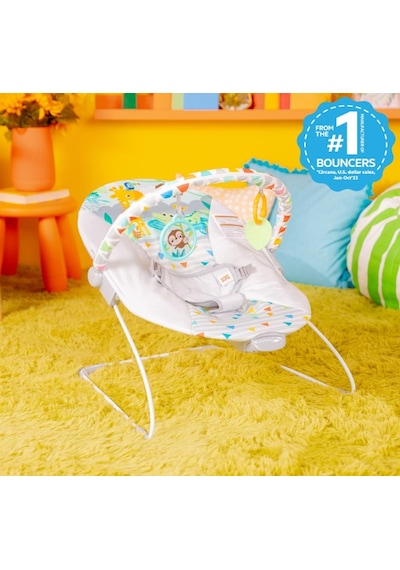 Bright Starts Bebek Salıncağı, Rahatlatıcı Titreşimli Bebek Ana Kucağı